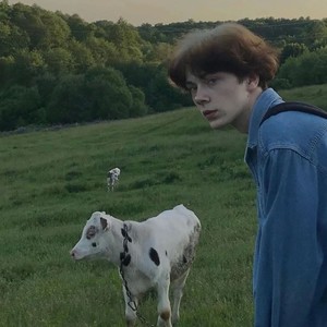 蒲公英的约定 (伴奏)