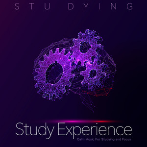 Study Experience: Calm Music For Studying and Focus