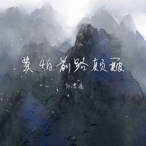 莫怕前路颠簸