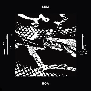 Boa (Ohm Hourani Remix Version 2)