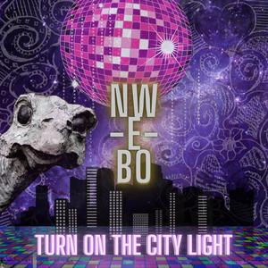 Turn On The City Light