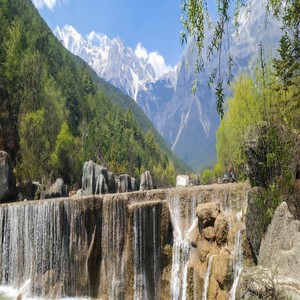 黄金蝶 - 没了爱情的样子