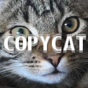 Copycat (feat. TJ Schaper)