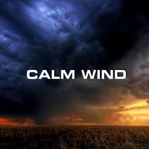 Relaxing Calm Wind White Noise
