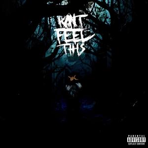 Kant Feel This (Explicit)