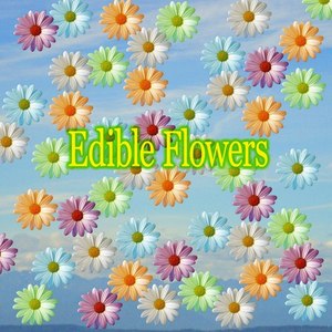 Edible Flowers