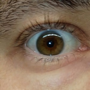 in the civic (Edit|Explicit)