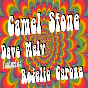 Camel Stone (feat. Rojelio Capone) [Explicit]