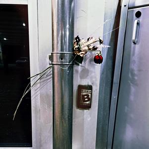 (bonus) mynote_verdugo_verb_variant (Explicit)