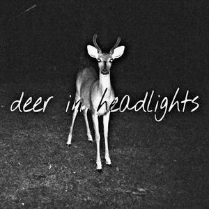 deer in headlights (Explicit)
