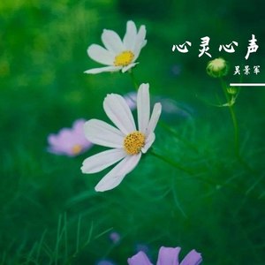 清晨物语 (Inst.)