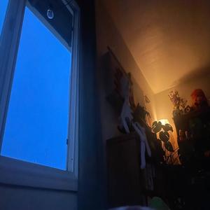 The Smell Of Wet Grass