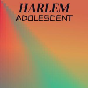 Harlem Adolescent