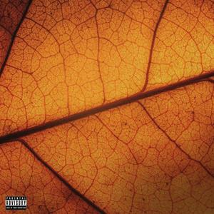 Shayan Roohi - Bihess (Explicit)