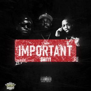 Important (feat. Lil VAC & JROC) (Explicit)