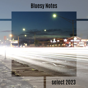 Bluesy Notes Select 2023