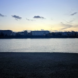 slōōny