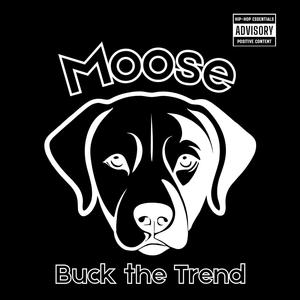 Moose (Explicit)