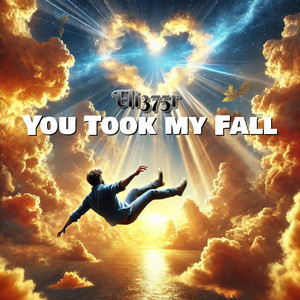 You Took My Fall