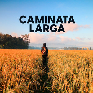 Caminata larga (Explicit)