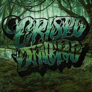 Swamp (feat. 95 JAX) (Explicit)