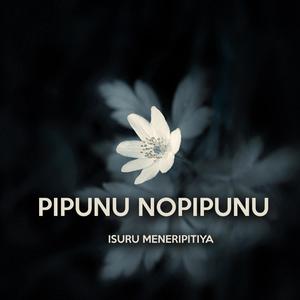 Pipunu Nopipunu