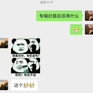 格式反应 (伴奏)