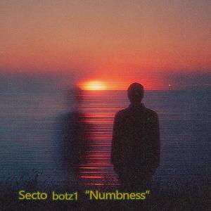 Numbness (feat. Secto)