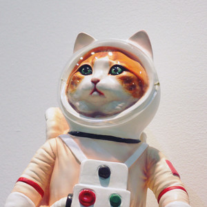 meow meow