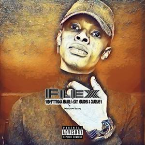 Vibe(feat. Trigga Maine, L-Kay, Mandisi & Charlie V) (Explicit)