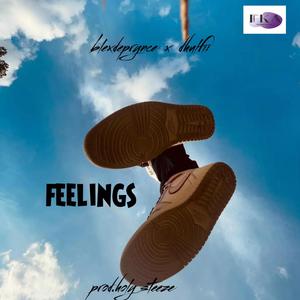 FEELINGS (feat. DHULFII)