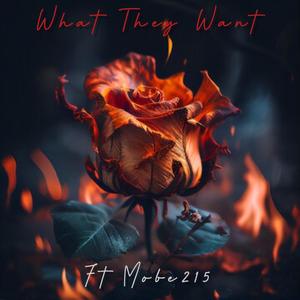 What they want (feat. Mobe215) [Radio Edit]