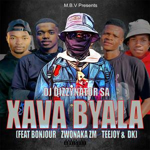 Xava Byala (feat. Bonjour, Zwonaka ZM, TeeJoy & DK) [Explicit]