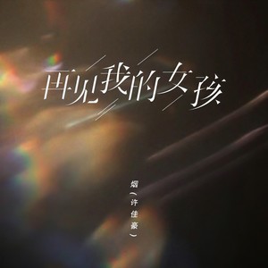 再见我的女孩 (DJ版)封面