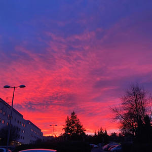 Benzo mamce (Explicit)