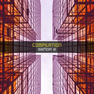 Señor B - Man Of Science