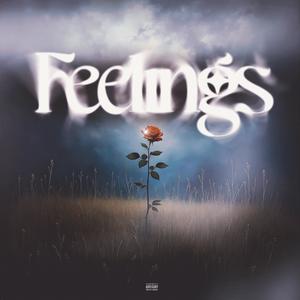FEELINGS (feat. Kike Falcon) (Explicit)