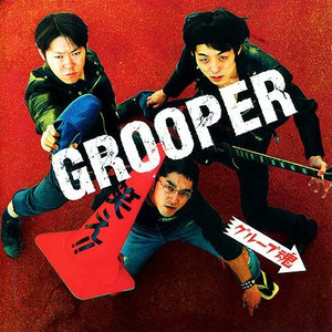 GROOPER