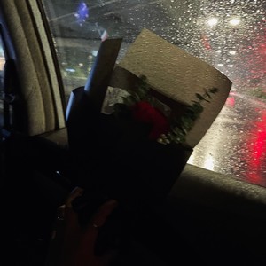 绝对占有 相对自由