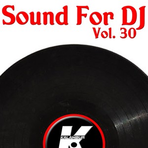 SOUND FOR DJ VOL 30 (Explicit)