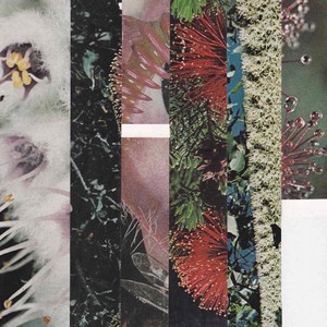 Setting Myself Free(feat. iiiso)