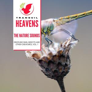 The Nature Sounds - Drizzling Rain, Insects and other Creatures, Vol. 10