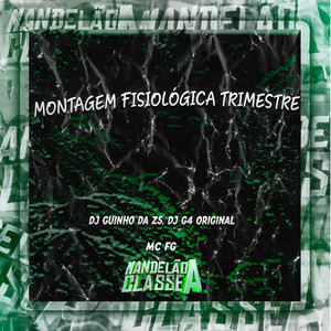 Montagem Fisiológica Trimestre (Explicit)