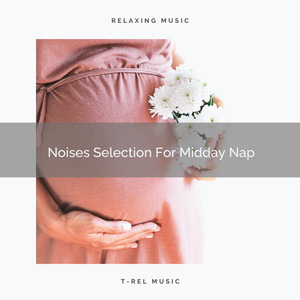 Noises Selection For Midday Nap