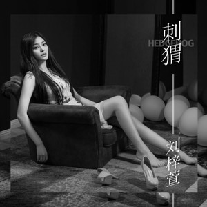 刘梓萱 - 刺猬 (伴奏)