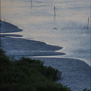 每个人都像一本书