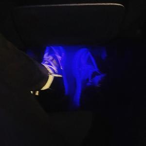 Black Light (Numby) (Explicit)