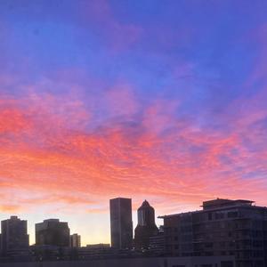 vice city (feat. Alin Meridiem) (Explicit)