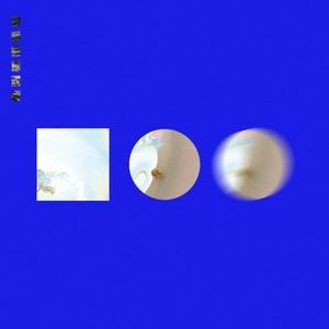 Orchids (Altered by Call Super)