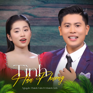 Tình Hậu Phương